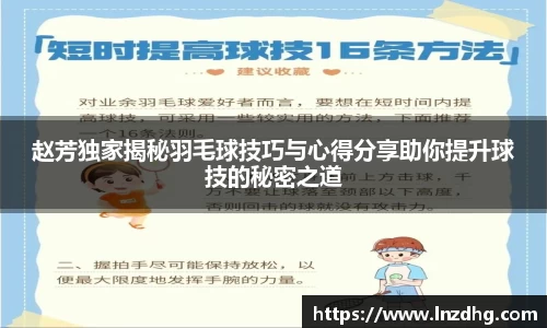 赵芳独家揭秘羽毛球技巧与心得分享助你提升球技的秘密之道
