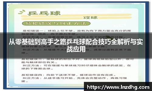 从零基础到高手之路乒乓球配合技巧全解析与实战应用